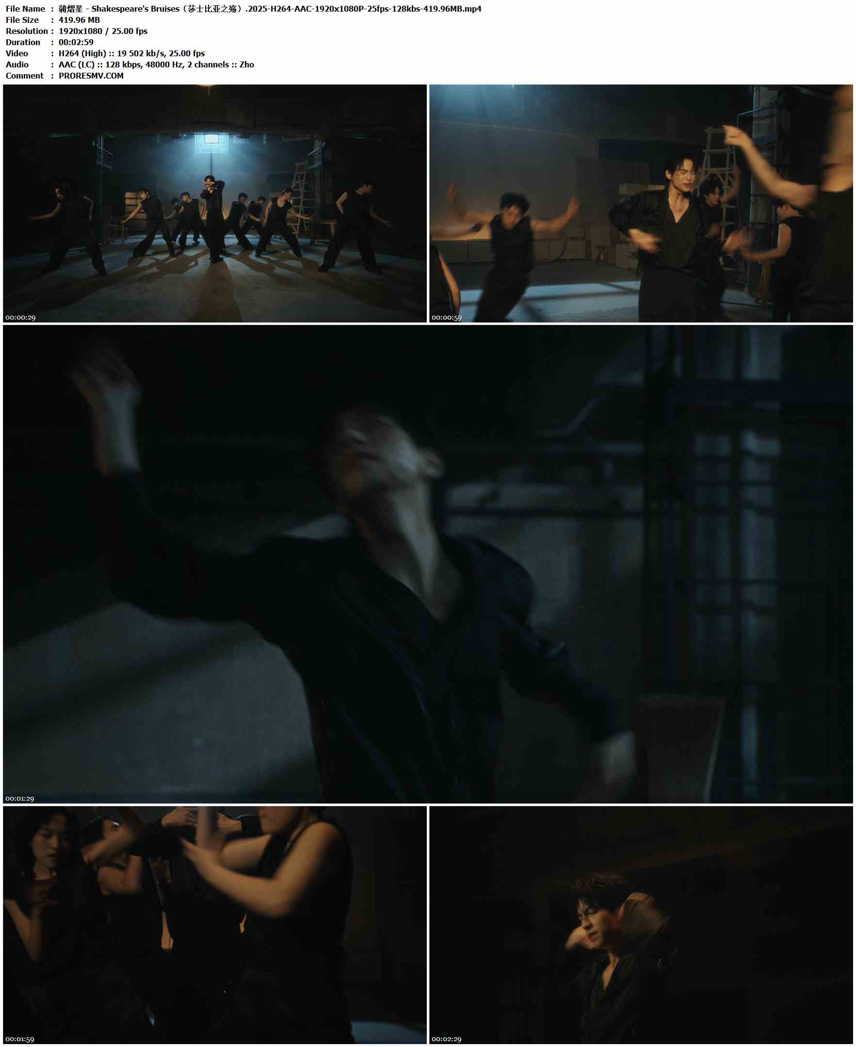蒲熠星 - Shakespeare's Bruises（莎士比亚之殇）.2025-H264-AAC-1920x1080P-25fps-128kbs-419.96MB官方MV_高清MV